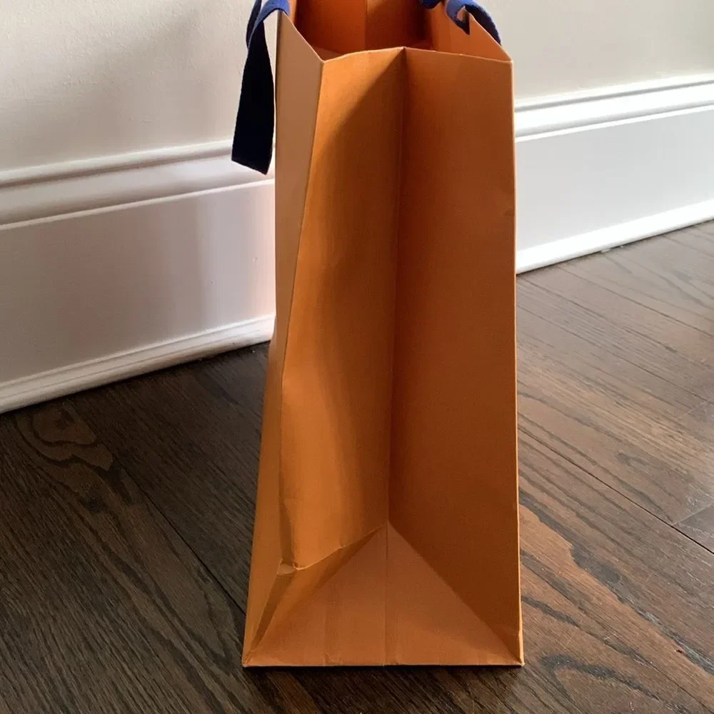 Louis Vuitton Medium 16”x13” Empty Paper Shopping Tote - Replacement Gift Bag